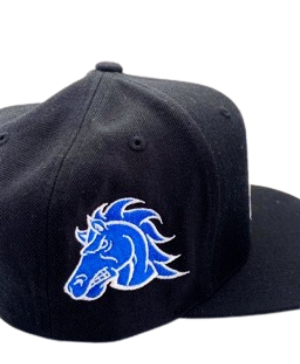 HBCU Snapbacks